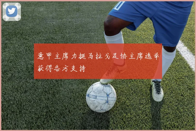 意甲主席力挺马拉戈足协主席选举获得各方支持